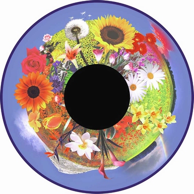 Magnetisch Effectwiel Bloemen