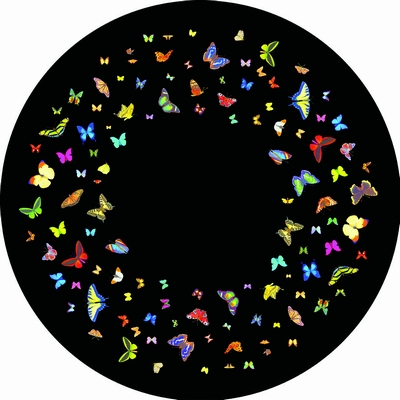 Magnetisch Effectwiel Vlinders