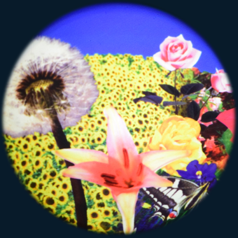 Magnetisch Effectwiel Bloemen