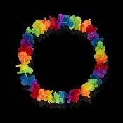 Hawaiislinger Multicolour