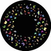 Magnetisch Effectwiel Vlinders