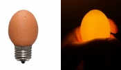 Ei Lamp Bruin