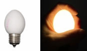 Ei Lamp Wit