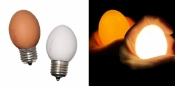 Ei Lamp Set